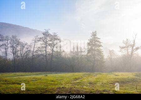 Bergige ländliche Landschaft bei einem nebligen Sonnenaufgang. Wunderschöne Herbst Naturlandschaft mit Laubwald hinter der Wiese im Wald. Majestätisch sonnigen Mo Stockfoto