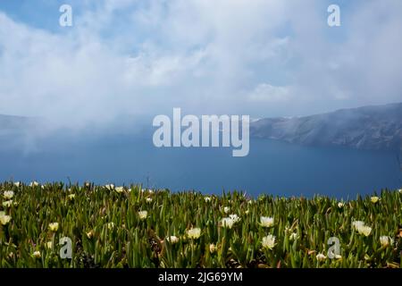 Blick auf Blumen, die Ägäis und das Dorf Oia in der Ferne an einem bewölkten Tag auf Santorini Stockfoto