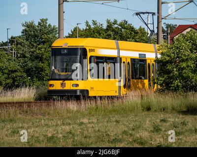 DVB-Triebwagen der öffentlichen Verkehrsmittel in der Stadt. Naturgebiet mit einem gelben Straßenbahnfahrzeug auf den Schienen. Sonniges Sommerwetter mit grünen Büschen. Stockfoto