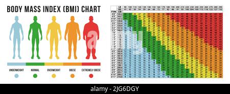 Body Masse Indexdiagramm, BMI im Vektorformat Stock Vektor