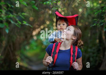 Mutter mit Kleinkind Kind im Rucksackträger wandert im Wald Stockfoto