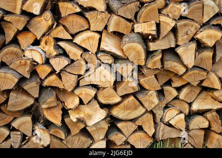 Brennholz gehackt und in einem Brennholzschuppen gestapelt. Ernte für die Winterheizung im Ofen. Stockfoto