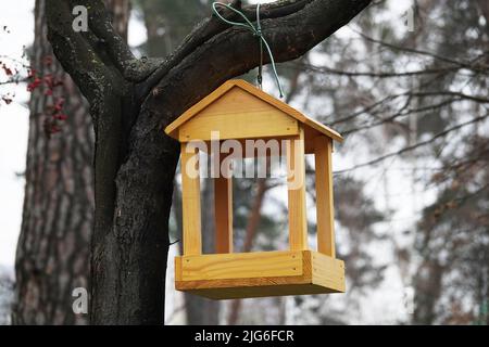 Vogelfutterhäuschen auf einem Baum im Wald Stockfoto