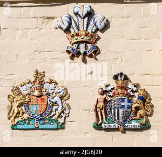 Wappen, Wappenschilde, Heraldik, an der Wand der Guildhall Tavern, Poole Old Town, Dorset, England, Großbritannien Stockfoto