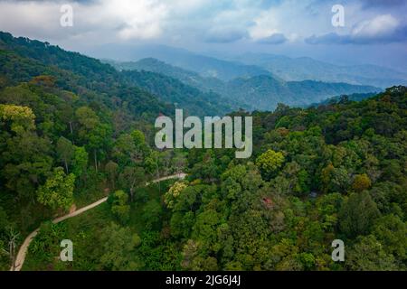 Luftaufnahme des nördlichen Thailändischen Regenwaldes während der Trockenzeit im März, Chaing Dao Wald. Stockfoto