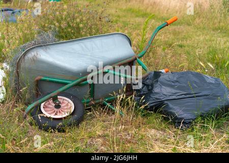 Zuteilung, Gemüse, Pflaster, Komposthaufen, Kohlpflaster, Planung, Layout, organische Ziele, Pflanzen, die Sie anbauen, Ernte, Bio-Gartenarbeit, Brassiken. Stockfoto