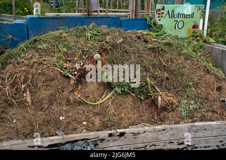 Zuteilung, Gemüse, Pflaster, Komposthaufen, Kohlpflaster, Planung, Layout, organische Ziele, Pflanzen, die Sie anbauen, Ernte, Bio-Gartenarbeit, Brassiken. Stockfoto