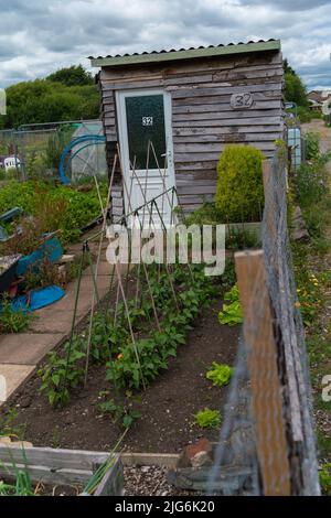 Zuteilung, Gemüse, Pflaster, Komposthaufen, Kohlpflaster, Planung, Layout, organische Ziele, Pflanzen, die Sie anbauen, Ernte, Bio-Gartenarbeit, Brassiken. Stockfoto