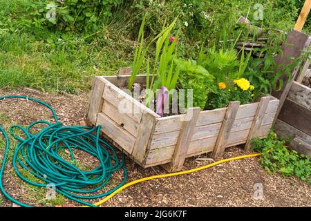 Pflanzenzweige, Gemüse, Pflaster, Komposthaufen, Kohlfeld, Planung, Layout, organische Ziele, Pflanzen, die Sie anbauen, Ernte, Bio-Gartenarbeit, Büstenhalter. Stockfoto