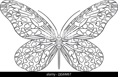 Schmetterlingsilhouette. Handgezeichnete Vektorgrafik. Isoliertes Element auf weißem Hintergrund. Am besten für nahtlose Muster, Poster, Karten, Aufkleber und Ihr Design. Stock Vektor