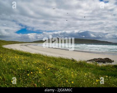 Sommer auf der Balephuil Bay auf der Insel Tiree. Innere Hebriden, Westküste Schottlands Stockfoto