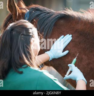 Dies dauert nur eine Sekunde. Aufnahme eines nicht erkennbaren Tierarztes, der allein steht und einem Pferd auf einer Farm eine Injektion gibt. Stockfoto