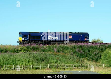 DB-Diesellokomotive der Baureihe 66 Nr. 66109 'Teesport Express' in PD Ports-Lackierung mit Güterzug, Warwickshire, Großbritannien Stockfoto