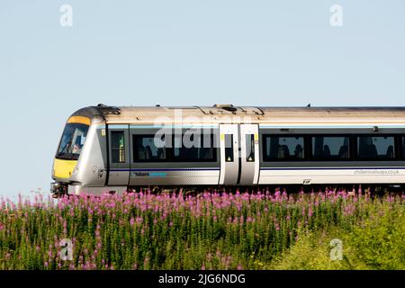 Die Chiltern Railways fahren mit dem Zug an der linken Rosebay Willowherb Flowers, Warwickshire, Großbritannien vorbei Stockfoto