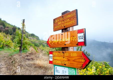 Melden Sie sich auf dem Wanderweg Via Becara an, der durch die Weinberge zwischen Manarola und Riomaggiore, Cinque Terre, La Spezia, Italien führt Stockfoto