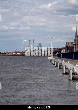 Antwerpen, Belgien, 02. Juli 2022, das rechte Ufer von Antwerpen mit den Kränen auf dem Parkplatz der nördlichen Kais Stockfoto