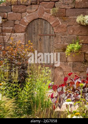 Rustikale gewölbte Holztür in einer Steinmauer, Teil eines Schaugartens beim Hampton Court Palace Gartenfestival. London. Stockfoto