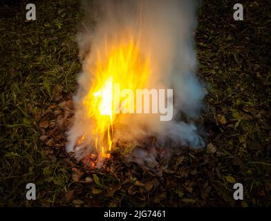 Brennende trockene Blätter in der Nacht Stockfoto