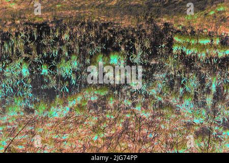 Ein flaches Feld, das mit Quellregenwasser in einem hellen Neonfilm-Negativ überflutet wurde. Stockfoto