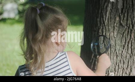 Kleines Mädchen schaut durch die Linse auf Insekten am Baumstamm. Nahaufnahme des blonden Mädchens studiert Ameisen, während sie durch die Lupe betrachtet werden Stockfoto