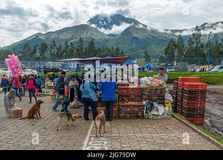 Lokaler Tiermarkt mit einem einheimischen ecuadorianischen Hühnerverkäufer mit dem Vulkan Cotacachi im Hintergrund, Otavalo, Ecuador. Stockfoto