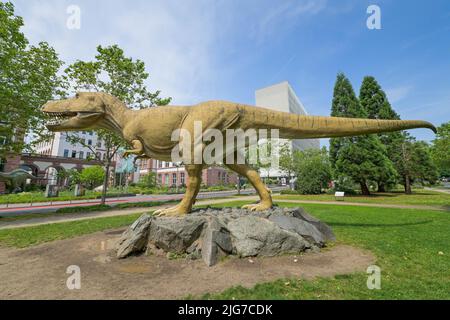 Tyrannosaurus Rex vor dem Senckenberg Museum, Senckenberganlage, Frankfurt am Main, Hessen, Deutschland Stockfoto