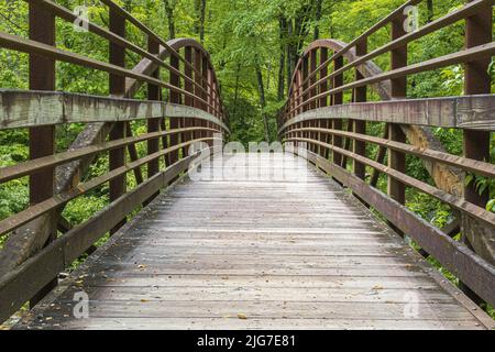 Rustikale Fußbrücke aus Metall und Holz in einem üppigen Wald. Stockfoto