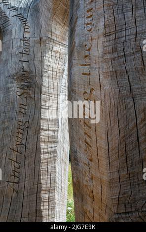 Witness (2016-2021) Skulptur von John Merrill im Langley Vale Centenary Wood in Epsom, Surrey, England, UK Stockfoto