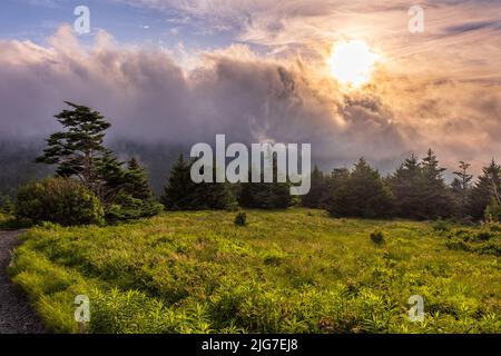 Sturmwolken Rollen unter der untergehenden Sonne über einer üppigen Wiese in den Roan Highlands von Tennessee. Stockfoto