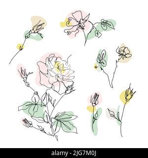 Set aus einer Linie Zeichnung Rosen Clip Art. Handgezeichnete einzeilige Blume mit neutralen abstrakten Formen Stock Vektor