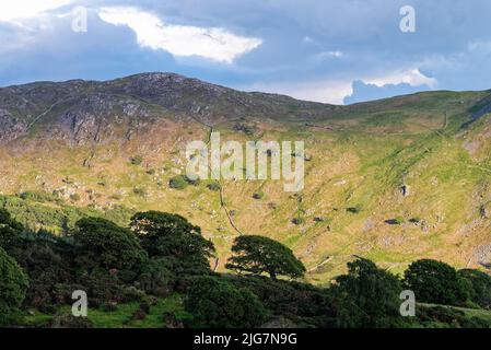 Der Blick von Eskdale Green auf Brantrake Crags and Fells an einem Sommerabend Lake District National Park Cumbria England Stockfoto