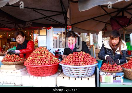 Bauern verkaufen frisch geerntete Erdbeeren in ihrem Garten in Da Lat, Vietnam Stockfoto