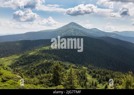 Der Gipfel des Berges Hoverla ist mit grünem Gras und Steinen an einem sonnigen Tag bedeckt, Wandern und Tourismus in den Karpaten, Ukraine Stockfoto