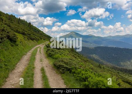 Die Straße zum Berg Hoverla ist mit grünem Gras und Steinen an einem sonnigen Tag bedeckt, Wandern und Tourismus in den Karpaten, Ukraine Stockfoto