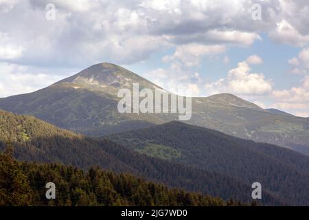 Der Gipfel des Berges Hoverla ist mit grünem Gras und Steinen an einem sonnigen Tag bedeckt, Wandern und Tourismus in den Karpaten, Ukraine Stockfoto