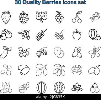 30 hochwertige Berry-Symbole für das Web. Stock Vektor
