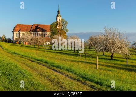 Wallfahrtskirche Birnau, Obstbaumblüte im Frühjahr, Unteruhldingen, Bodensee, Baden-Württemberg, Deutschland Stockfoto