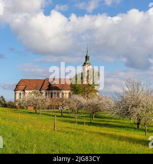 Wallfahrtskirche Birnau, Obstbaumblüte im Frühjahr, Unteruhldingen, Bodensee, Baden-Württemberg, Deutschland Stockfoto