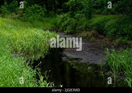 Fast ausgetrockneter Fluss im Sommer in Deutschland, Hitzewelle 2022 Stockfoto