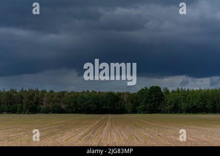 Große Regenwolken über einem landwirtschaftlichen Gebiet kurz vor einem schweren Sturm Stockfoto