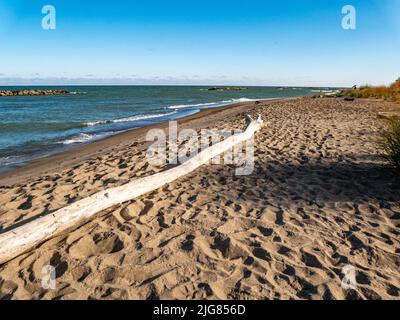 Ein wunderschöner Sandstrand unter einem sonnigen Himmel im Presque Isle State Park Stockfoto