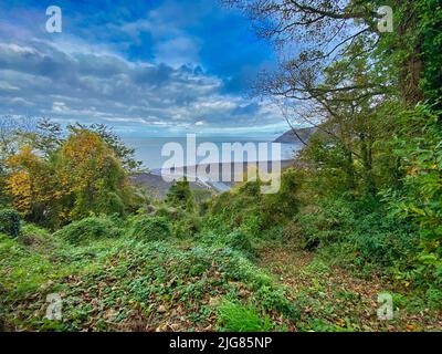 Nord-Devon Küste Stockfoto