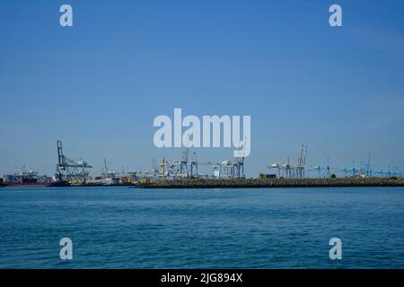 ROTTERDAM, NIEDERLANDE - Neues Containerterminal mit einem sehr großen Containerschiff und im Vordergrund ein kleineres Binnenschiffs auf der Maas Stockfoto