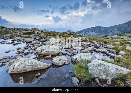 Italien, Trentino, Provinz Trient, kleines feuchtes alpines Gebiet, Teich, Seen von Juribrutto Stockfoto