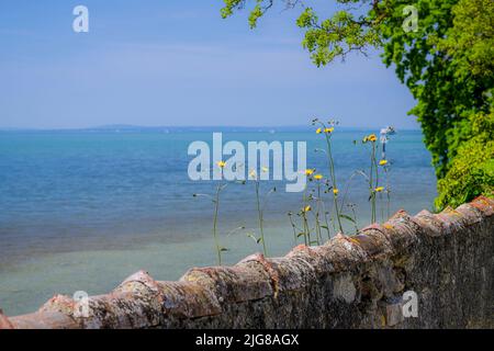 Bodensee, Westansicht aus dem Park, Lindau Island, Reutin, Schwäbische Grafschaft, Deutschland, Europa Stockfoto