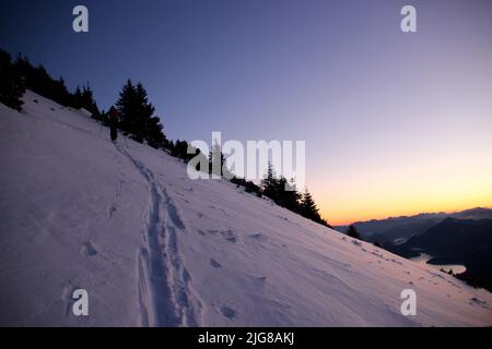 Junge Frau beim Winterwandern, Skitour nach Simetsberg. Deutschland, Bayern, Walchensee, Einsiedl Stockfoto