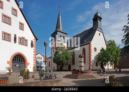 Märchenbrunnen, Prinzessin, Frosch, Wasser spüßender Drache, Spalte, Reliefs, Katharinenkirche, Rathaus, Steinau an der Straße, Main-Kinzig-Kreis, Hessen, Deutschland Stockfoto