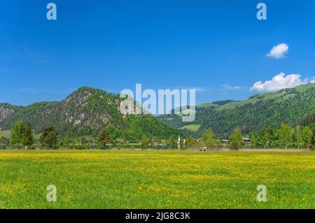 Österreich, Tirol, Kaiserwinkel, Walchsee, Frühlingswiese und Dorfblick gegen Miesberg Stockfoto