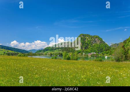 Österreich, Tirol, Kaiserwinkel, Walchsee, Frühlingswiese gegen Miesberg Stockfoto