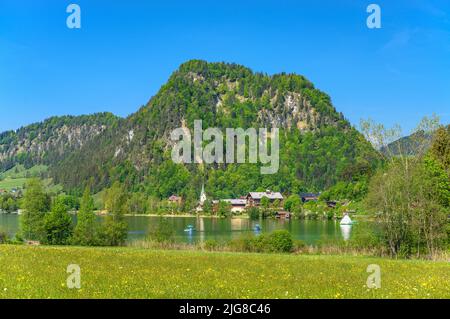 Österreich, Tirol, Kaiserwinkel, Walchsee, Frühlingswiese und Dorfblick gegen Miesberg Stockfoto